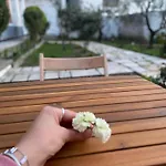 Llulla ホームステイ