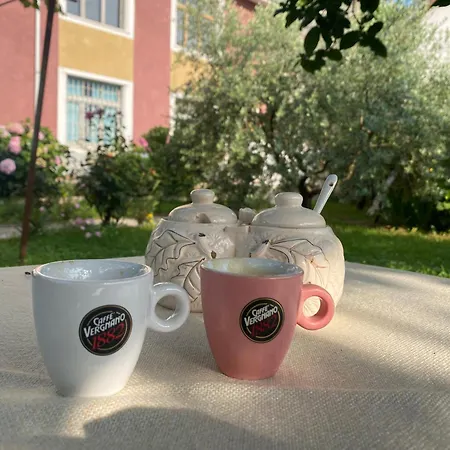 Llulla Kruje