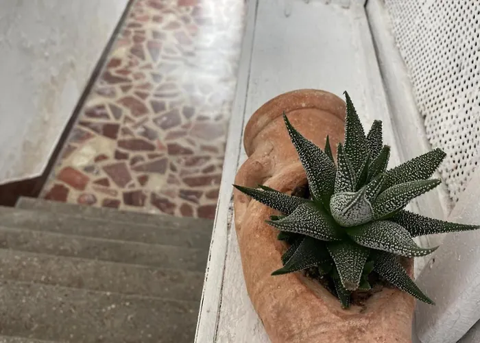 Accommodatie bij particulieren Llulla