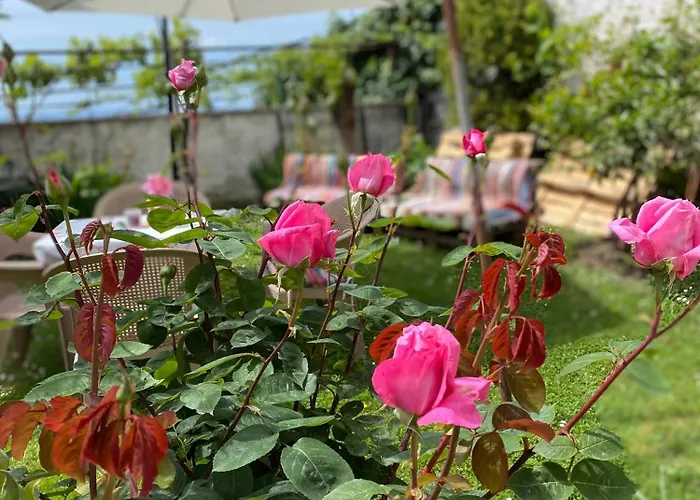 Llulla Accommodatie bij particulieren *